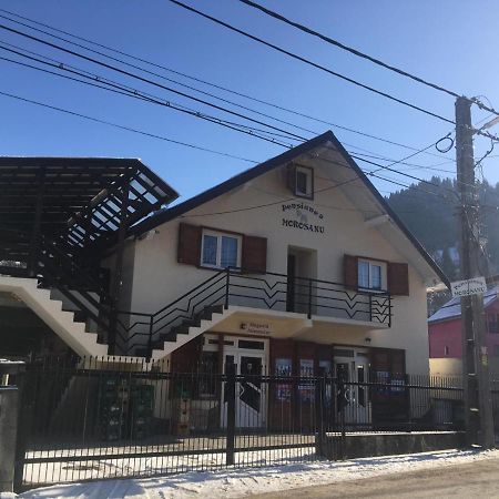 Pensiunea Morosanu Borşa Esterno foto