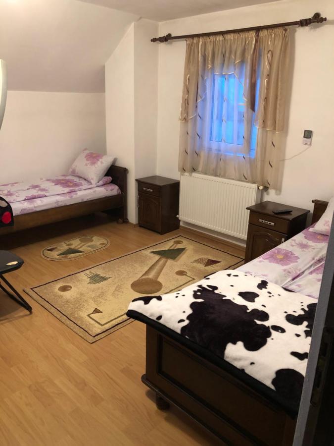 Pensiunea Morosanu Borşa Esterno foto