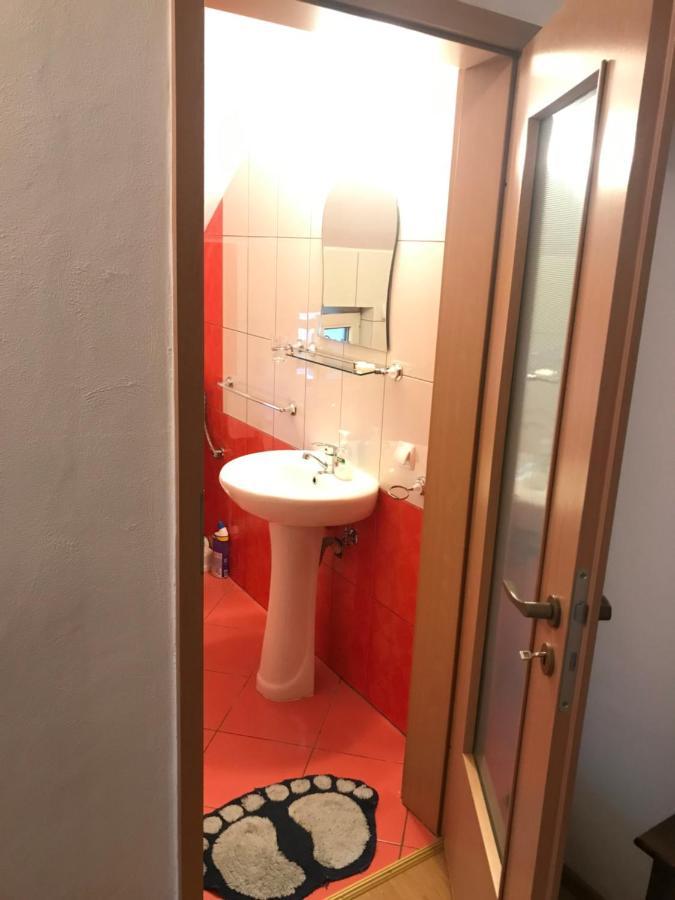 Pensiunea Morosanu Borşa Esterno foto