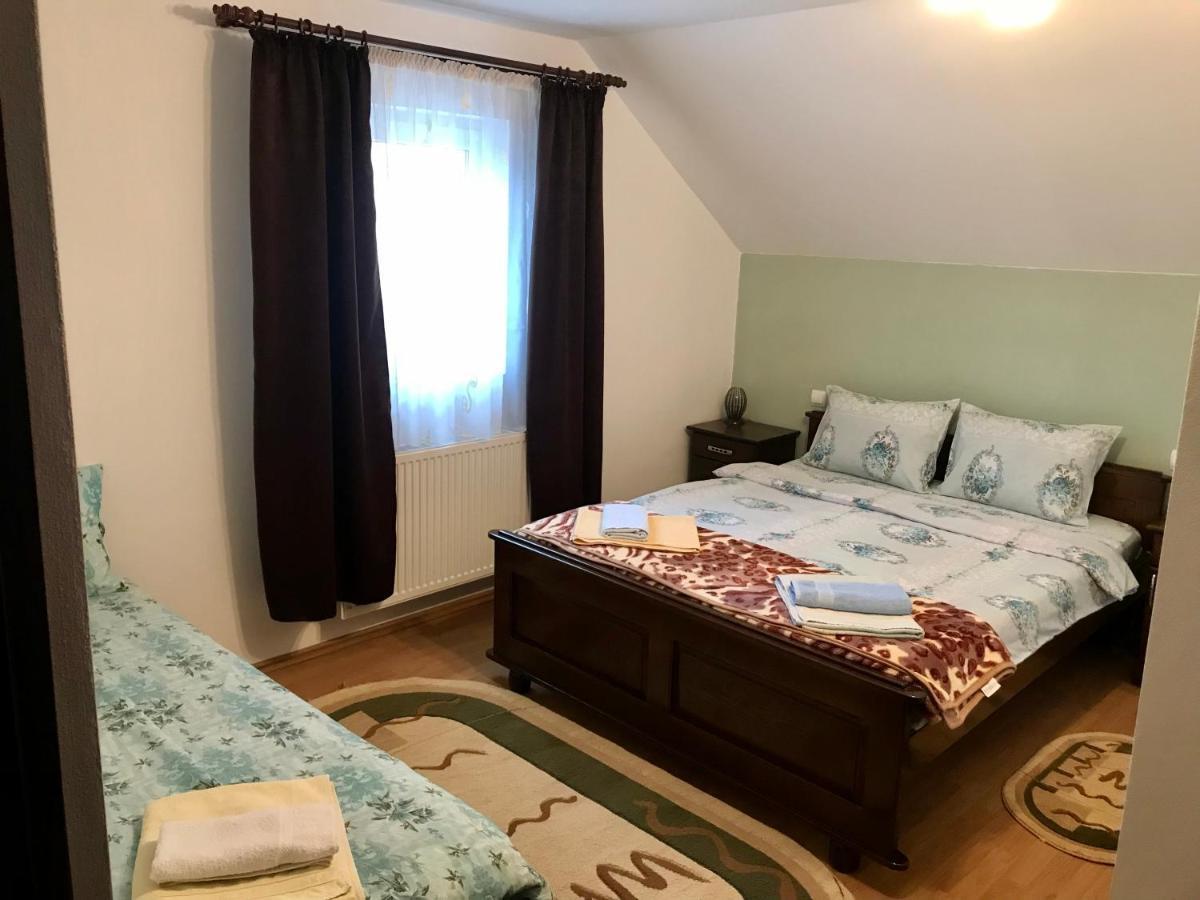 Pensiunea Morosanu Borşa Esterno foto
